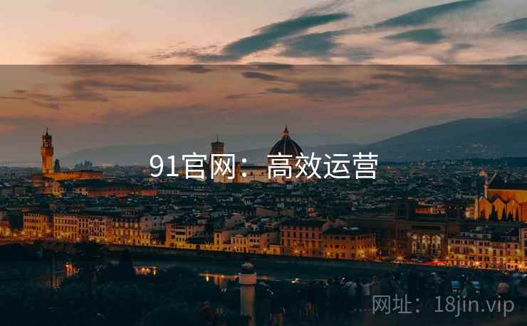 91官网：高效运营