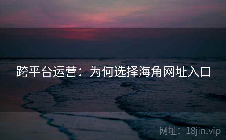 跨平台运营：为何选择海角网址入口