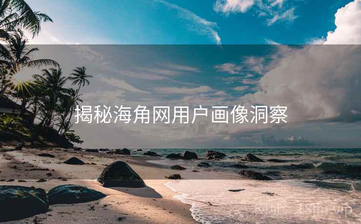 揭秘海角网用户画像洞察