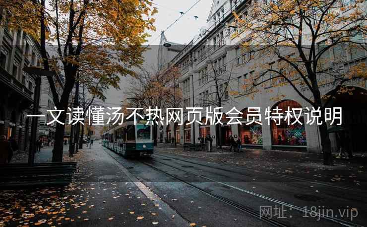 一文读懂汤不热网页版会员特权说明