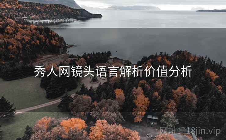 秀人网镜头语言解析价值分析
