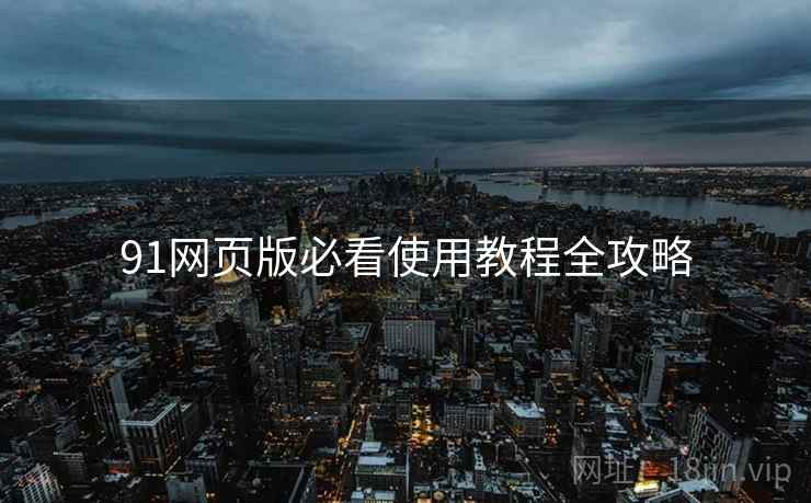 91网页版必看使用教程全攻略
