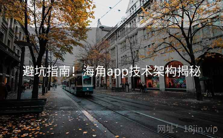 避坑指南！海角app技术架构揭秘