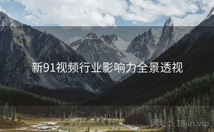 新91视频行业影响力全景透视
