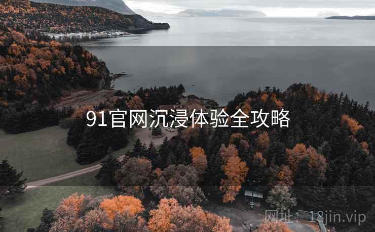 91官网沉浸体验全攻略