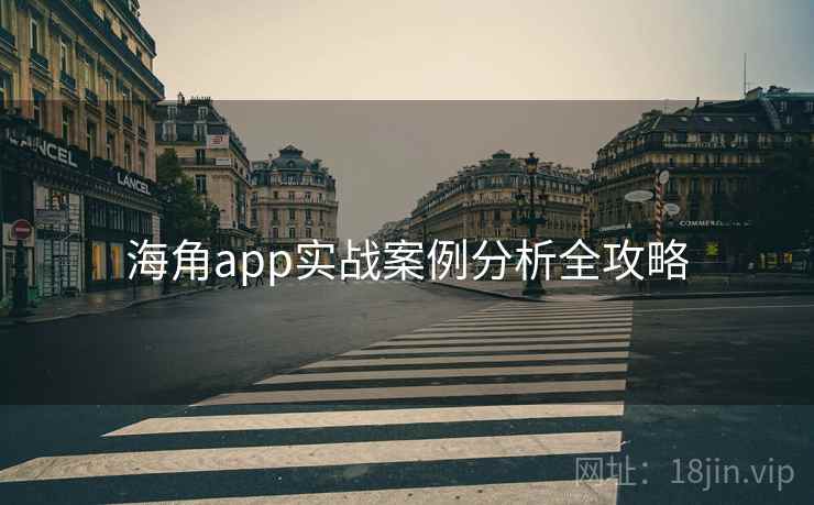 海角app实战案例分析全攻略
