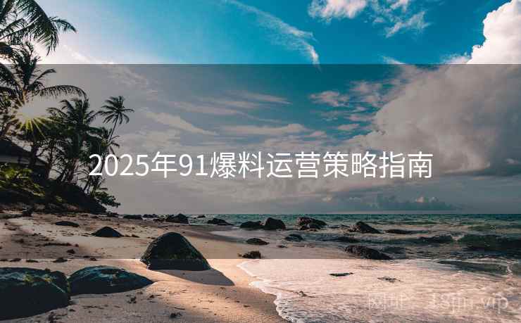 2025年91爆料运营策略指南